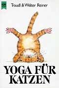 Yoga für Katzen